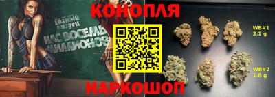 метадон Кингисепп