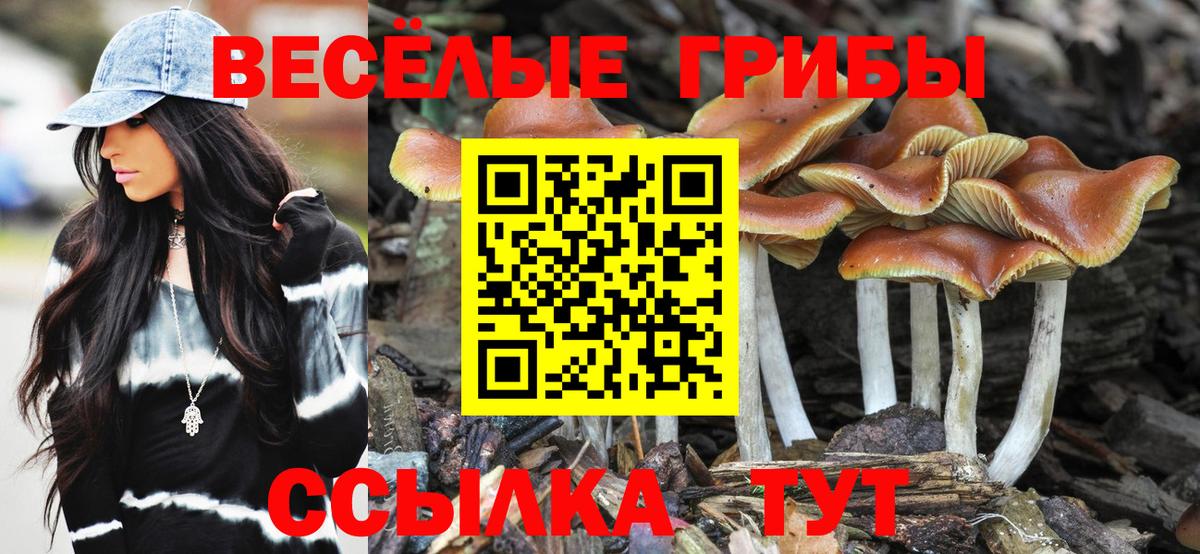 Псилоцибиновые грибы Cubensis  Вход с VPN  Галлюциногенные грибы Magic Shrooms  Магнитогорск 